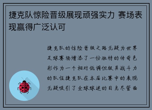 捷克队惊险晋级展现顽强实力 赛场表现赢得广泛认可